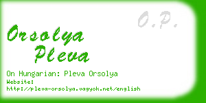 orsolya pleva business card